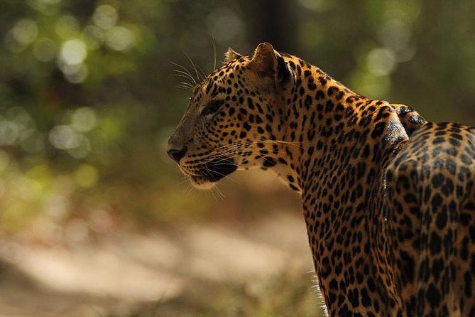 The Local Way - 7 Days Tour - Farewell to Sri Lanka