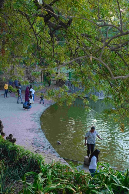 The Lodhi Walk Half Day Guided Tour - Important Information