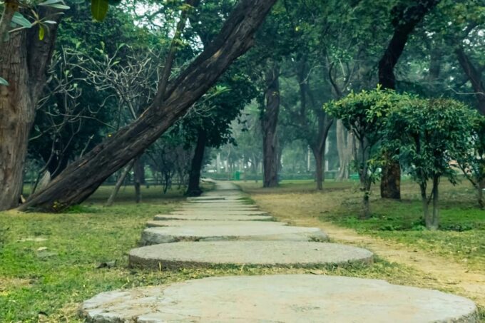 The Lodhi Walk Half Day Guided Tour - Lodhi Gardens