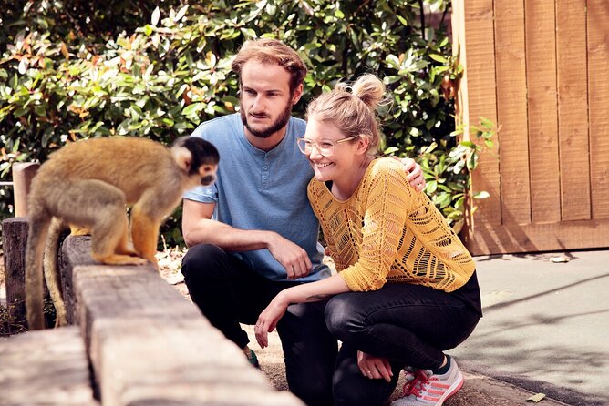 The London Pass®: Access 90+ Attractions and Tours - Purchasing Options and Discounts