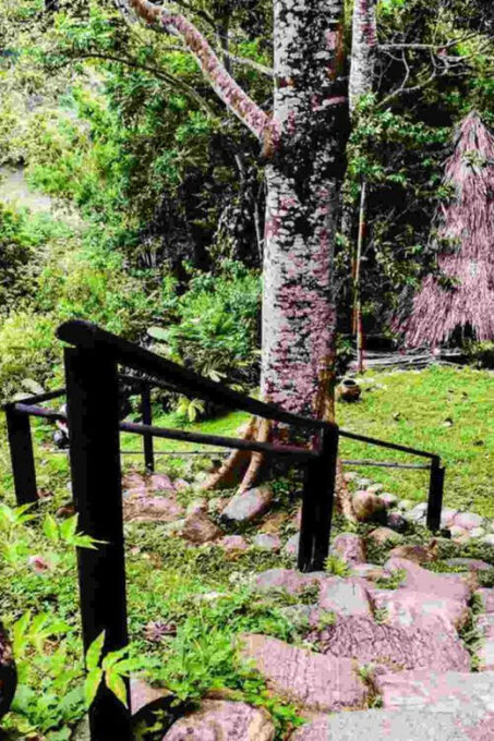 The Lost City of Taironaka - Site Exploration