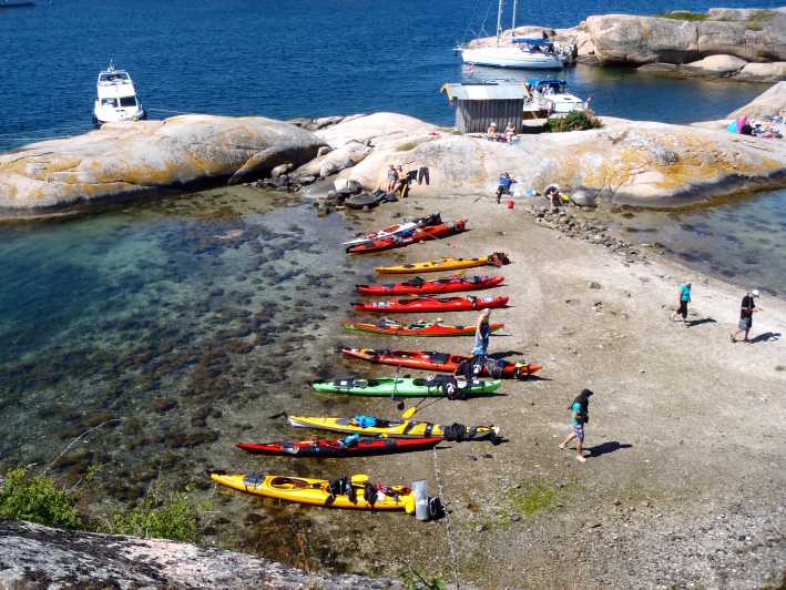 The Lunch Trip Sea Kayak Tour - Itinerary and Experience