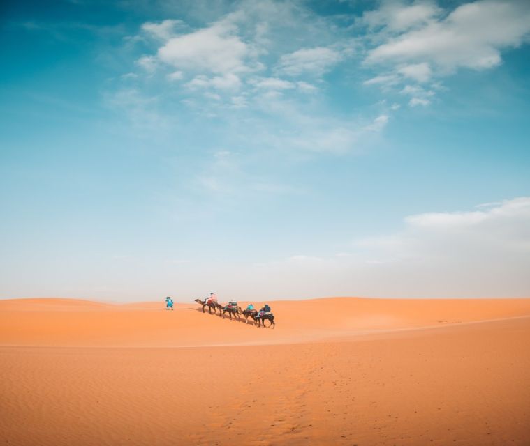 The Luxury 2days 1night Desert Tour From Fez to Fez/Marakech - Customer Reviews and Ratings
