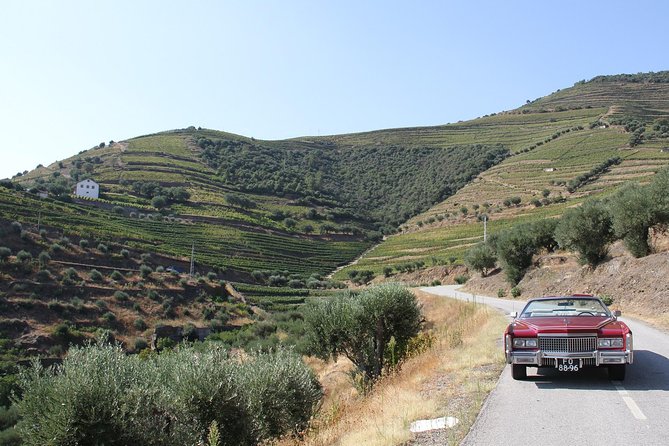 The Luxury Douro Tour - Wine and Port Tasting