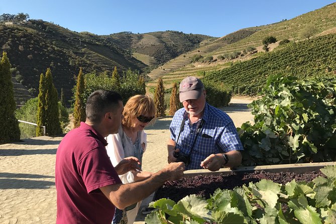The Luxury Douro Tour - Private Boat Trip