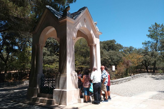 The Magnetism of Fatima - Guest Reviews and Feedback