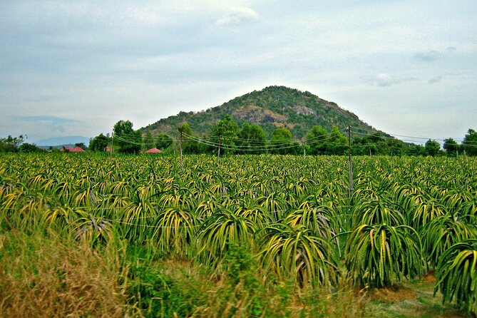 The Magnificence of the Ta Ku Mountain - Return Trip and Stop-Over