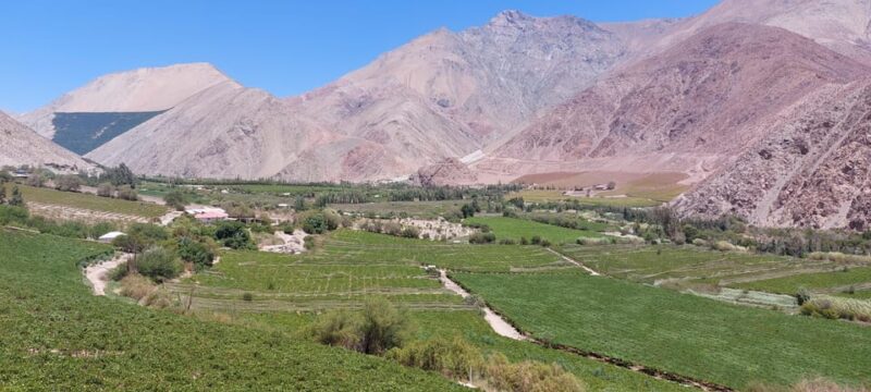 The Magnificient Elqui Valley Grand Tour - Cultural and Scenic Experiences