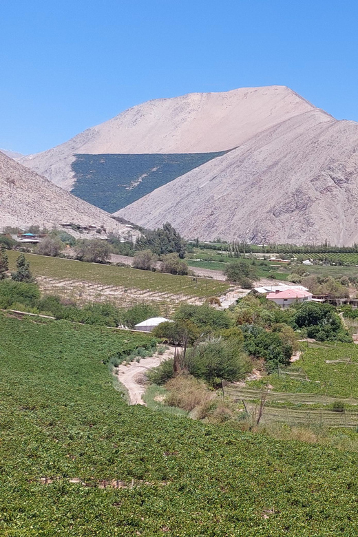 The Magnificient Elqui Valley Grand Tour - Booking and Reservation