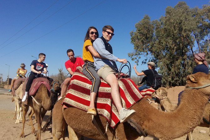 The Majorelle Garden With Ticket and the Palm Grove on Camelback - Camel Ride Experience