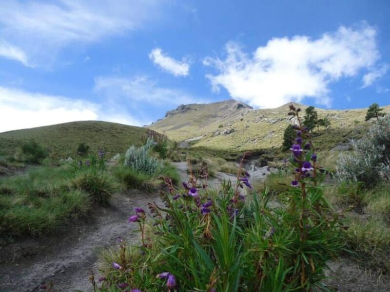 The Malinche Volcano: Hike to the Top and Explore Tlaxcala - Exploring Tlaxcala City