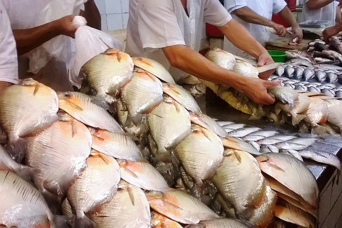 The Manaus Tour and Meeting of the Waters Half Day - Tour Features