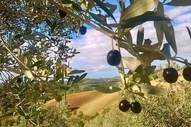 The Maremma - Overview and Location