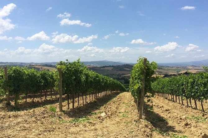 The Maremma - Meeting and Pickup Information