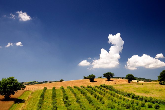 The Maremma - Booking Policies