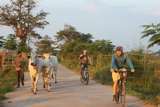 The Mekong Island Biking Tour and Lunch With Farmers - Inclusions