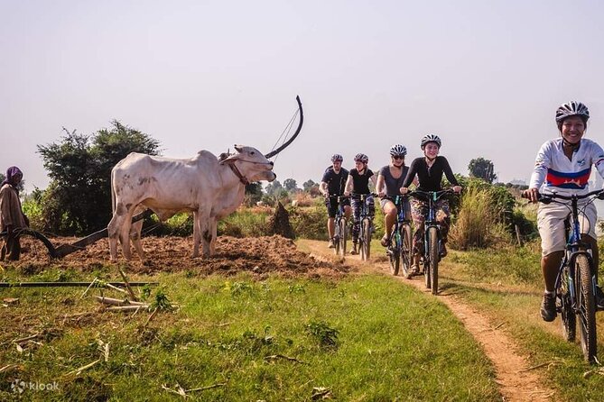 The Mekong Island Biking Tour and Lunch With Farmers - Cycling Experience