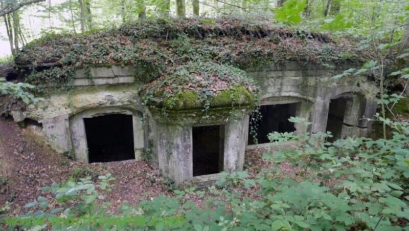 The Meuse-Argonne Battlefield Departure From Verdun or Reims - Just The Basics