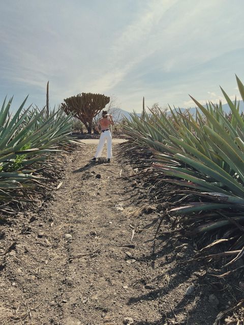 The Mezcal Journey - Itinerary