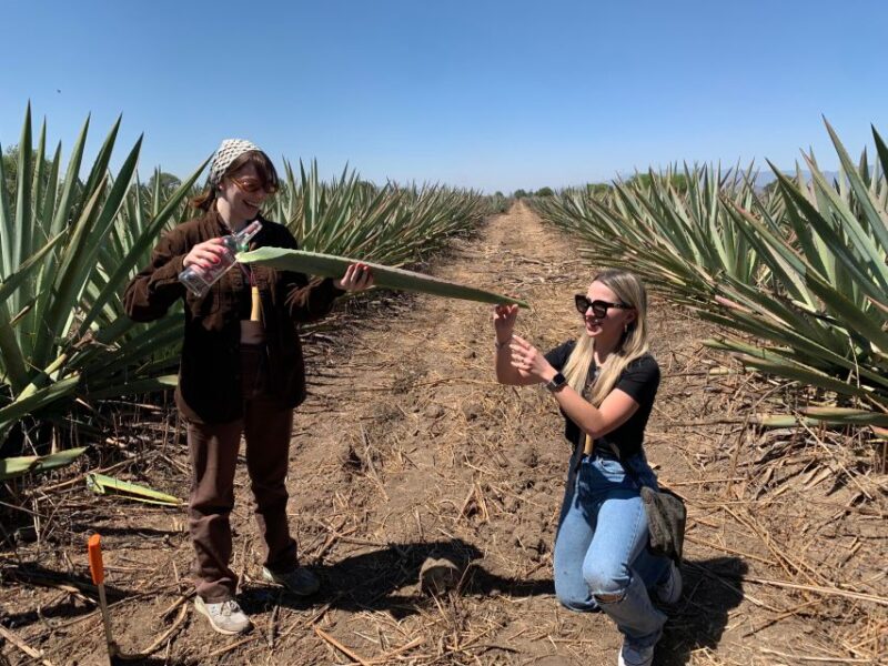 The Mezcal Journey - Cancellation Policy
