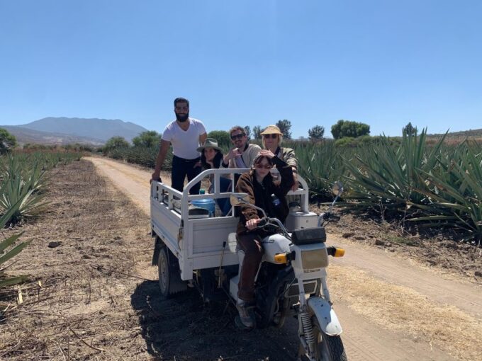 The Mezcal Journey - Suitability