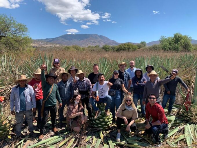 The Mezcal Journey - Frequently Asked Questions