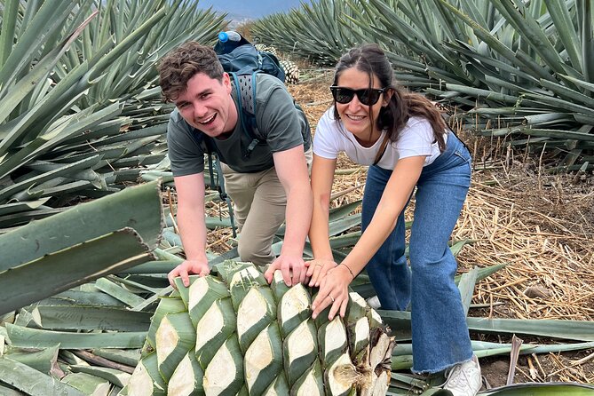 The Mezcal Journey - Multiple Mezcal Tastings