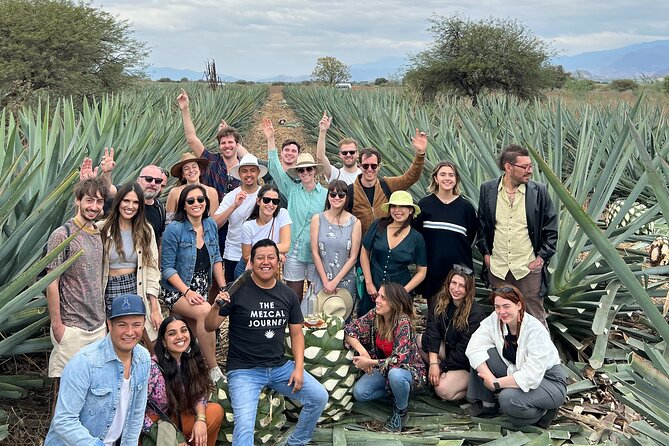 The Mezcal Journey - Cultural and Educational Insights