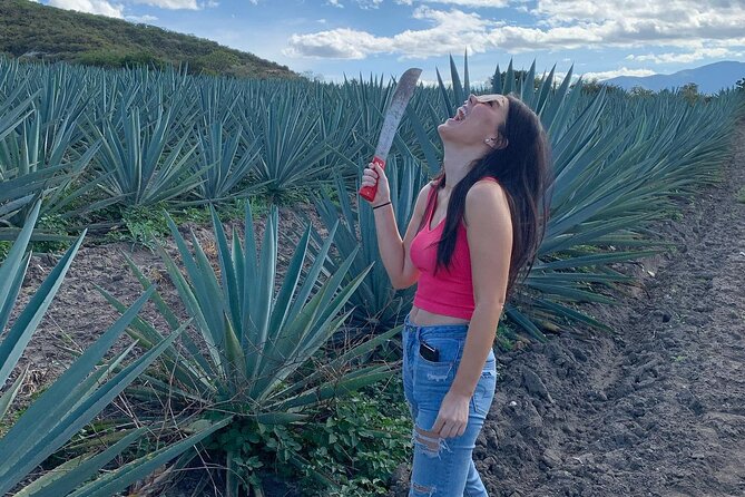 The Mezcal Journey - Traveler Feedback and Highlights