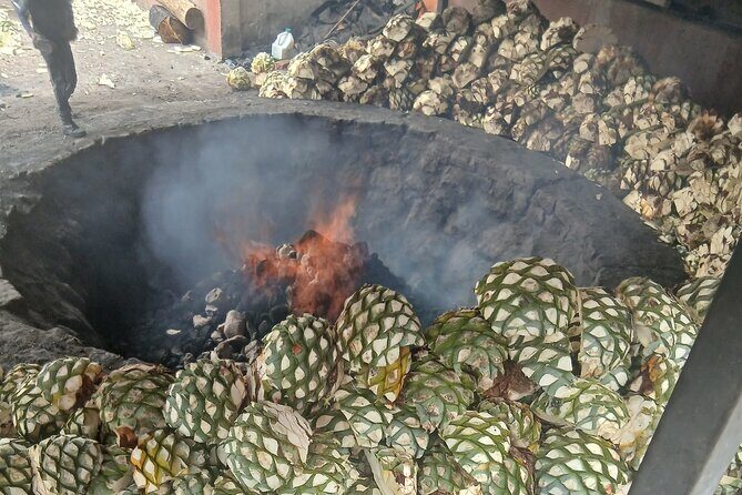 The Mezcal Tour - FAQ Section