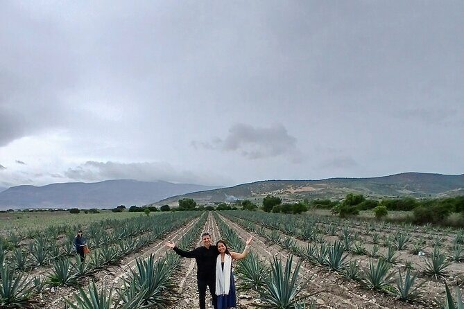 The Mezcal Tour - Who Should Book This Tour?
