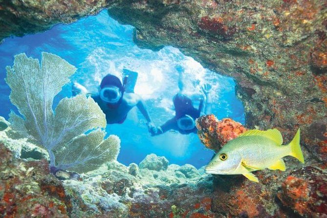 The Miami Sightseeing Day Pass: 35+ Sun-Soaked Attractions & Tours - Discounts and Dining Experiences