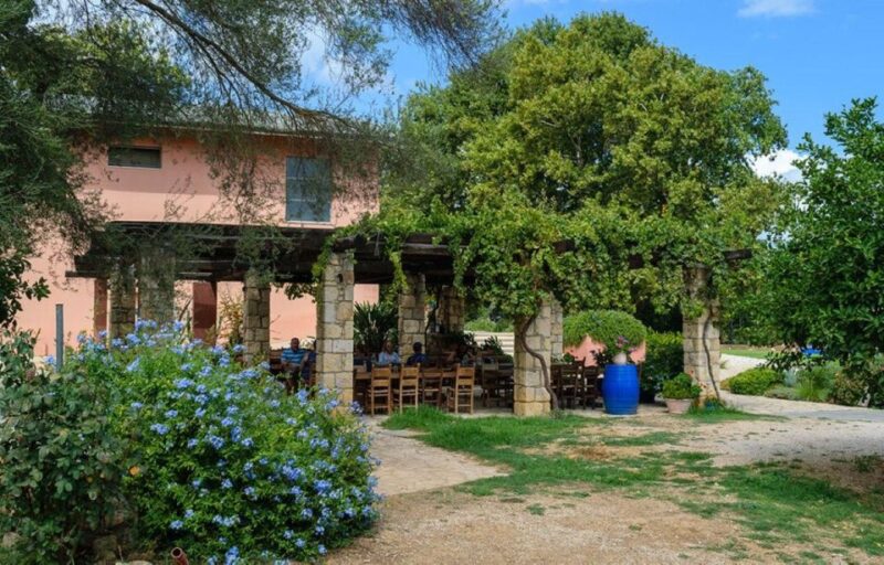 The Miracle of Wine and Olive Oil: Day Tour From Chania - Key Points