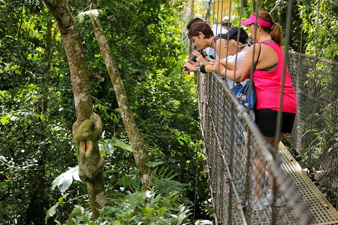 The Mistico Hanging Bridges - Meeting Point and Departure