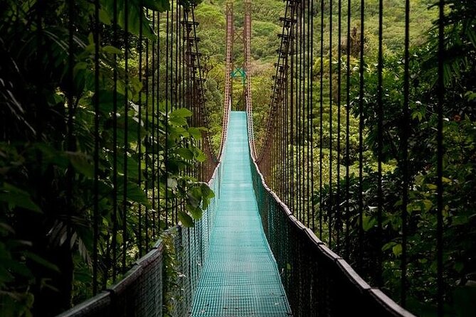 The Mistico Hanging Bridges - Stunning Suspension Bridges
