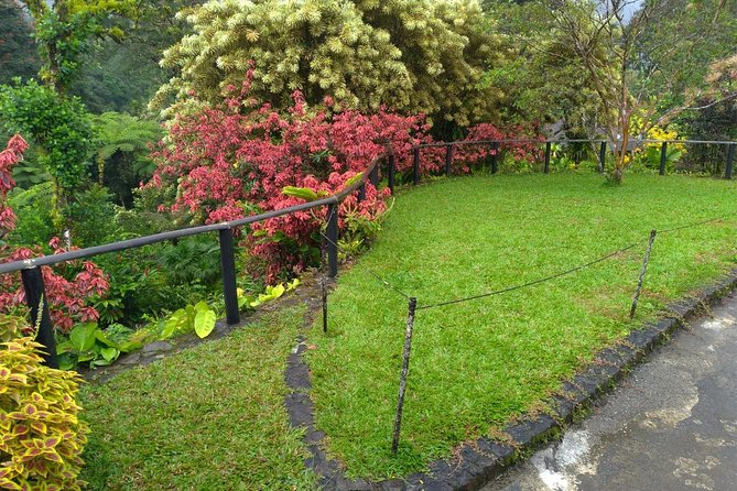 The Montreal Garden Tour With Frasers Taxi and Tours - Exploring Belmont Lookout and Rawacou Recreational Park