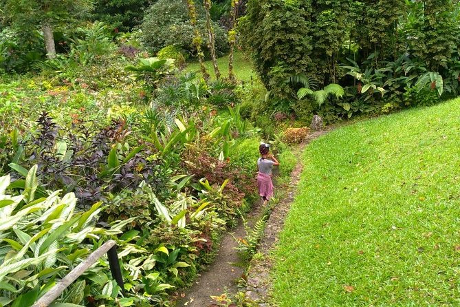 The Montreal Garden Tour With Frasers Taxi and Tours - Guided Learning About Local Horticulture