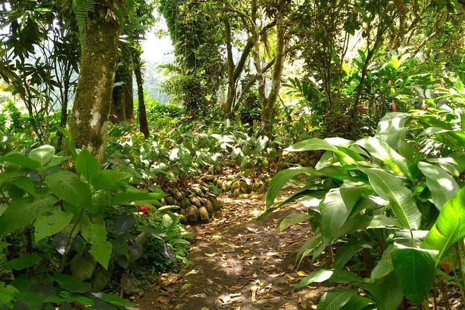 The Montreal Garden Tour With Frasers Taxi and Tours - Inclusions and Amenities of the Tour