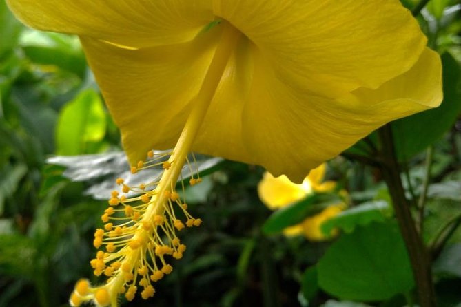 The Montreal Garden Tour With Frasers Taxi and Tours - Booking Information and Pricing