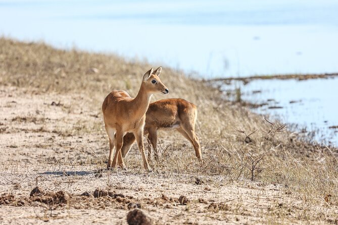The Mosi Oa Tunya National Park Game Drive - Routes and Scenery
