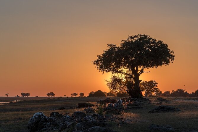 The Mosi Oa Tunya National Park Game Drive - Amenities and Comforts