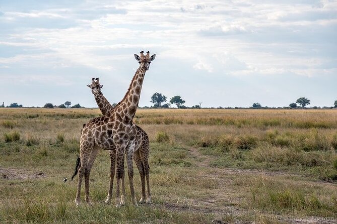 The Mosi Oa Tunya National Park Game Drive - Customer Feedback and Ratings