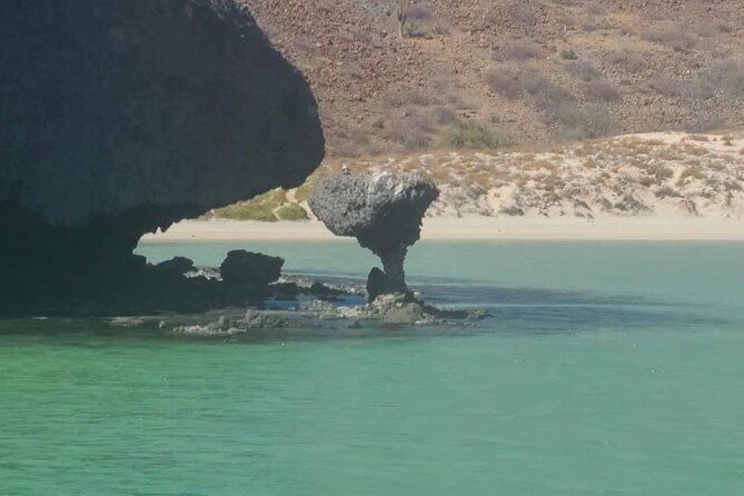 The Most Affordable Luxury Yacht in La Paz-Balandra/Isla Espiritu - Indulge in All-Inclusive Dining