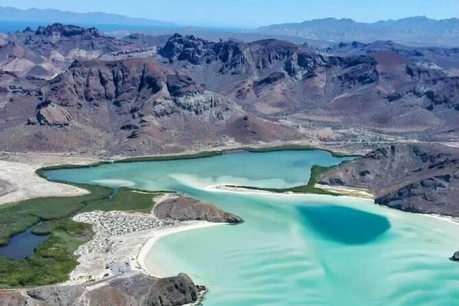 The Most Affordable Luxury Yacht in La Paz-Balandra/Isla Espiritu - Unforgettable Wildlife Encounters
