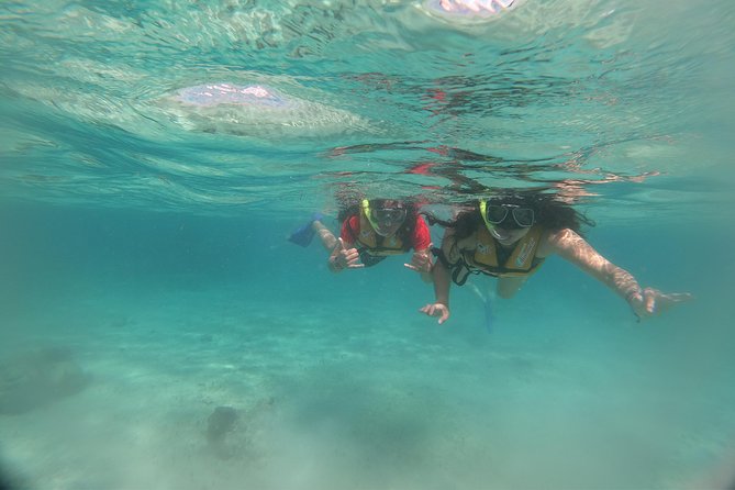 The Most Intrepid Speedboat Adventure in Cancun (Snorkel Included) - Frequently Asked Questions