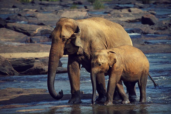 The Most popular Personalized round Tour In Sri Lanka-Day Charged - Who Is This Tour Best For?