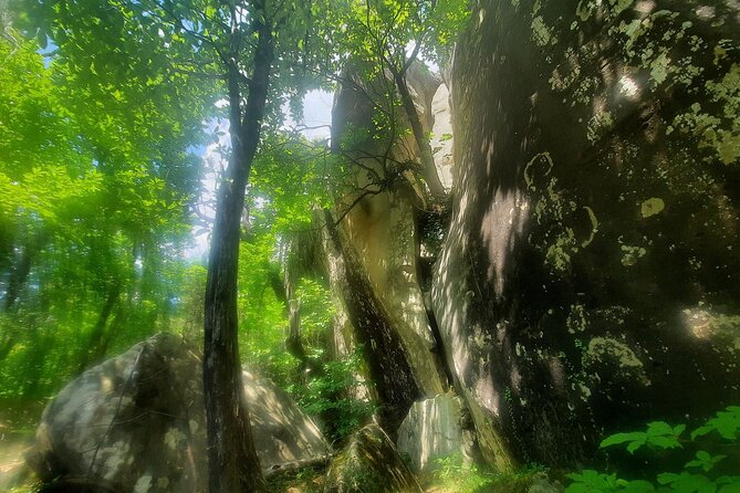 The Mountain Train Experience : Hike to Mystic Forest & Castle - Breathtaking Views and Villages