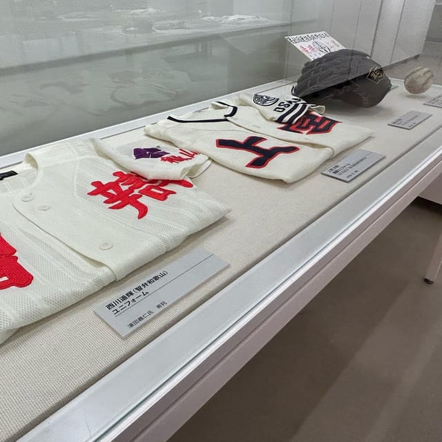 The Museum of Hanshin Koshien Stadium Entry Ticket - Visitor Eligibility