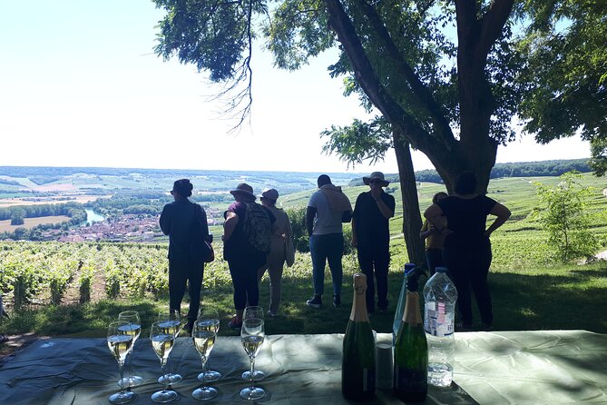 The Must-See: Champagne Tasting in the Vineyard - Meeting and Pickup