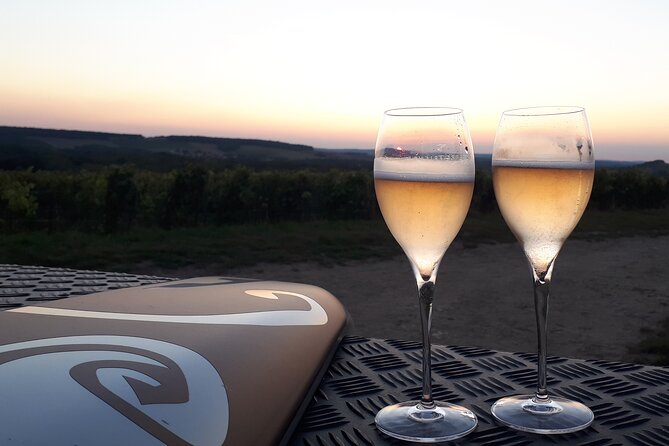 The Must-See: Champagne Tasting in the Vineyard - Accessibility and Additional Info